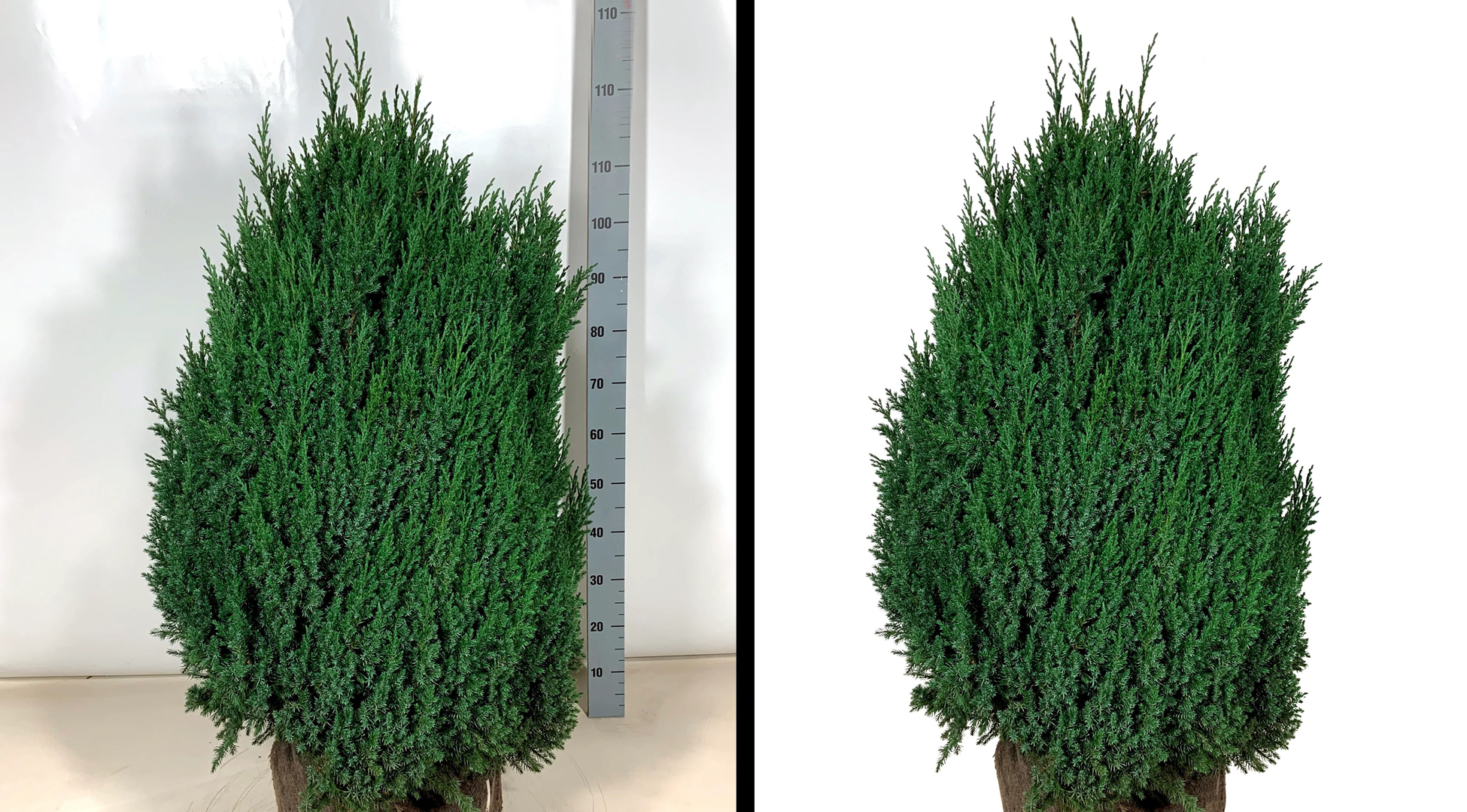 model-retouch-and-professional-image-masking-service (2)_3_11zon